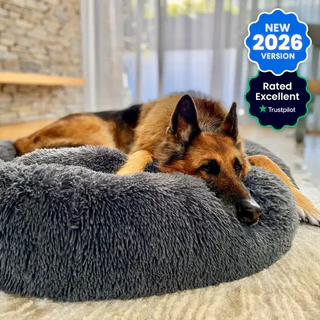 Find the Perfect Dog Beds for Comfort, Support, and Happy Pets